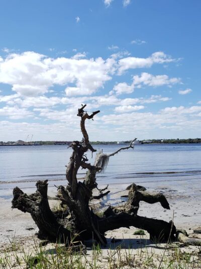 Arlington Lions Club Park - Jacksonville, FL