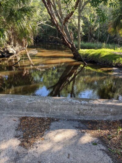 Bee Street Park - Jacksonville, FL