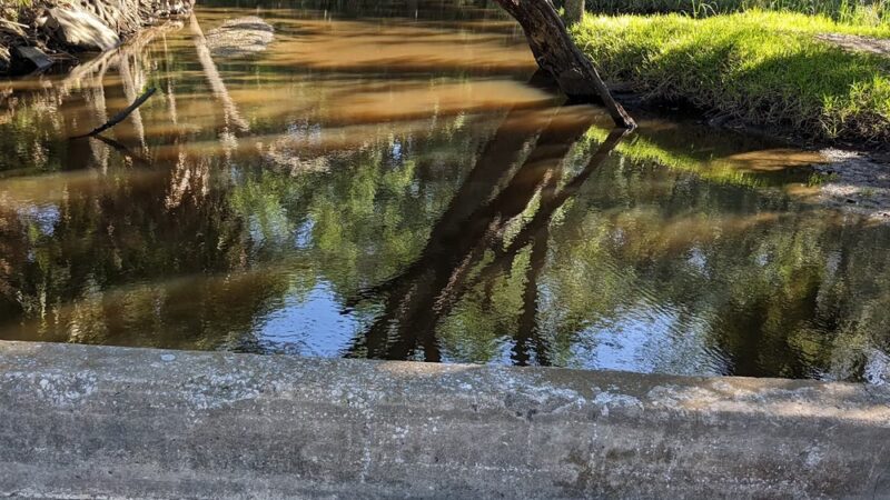 Bee Street Park - Jacksonville, FL