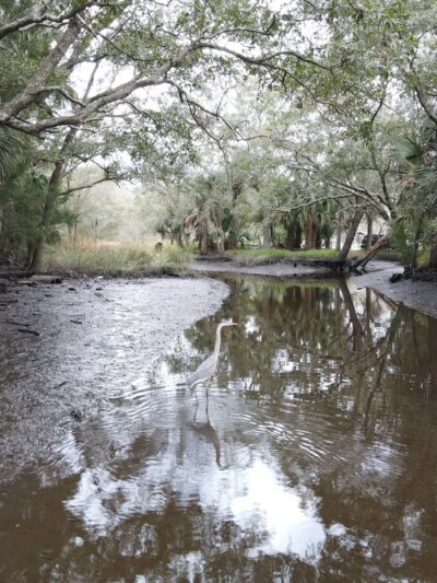 Bee Street Park - Jacksonville, FL