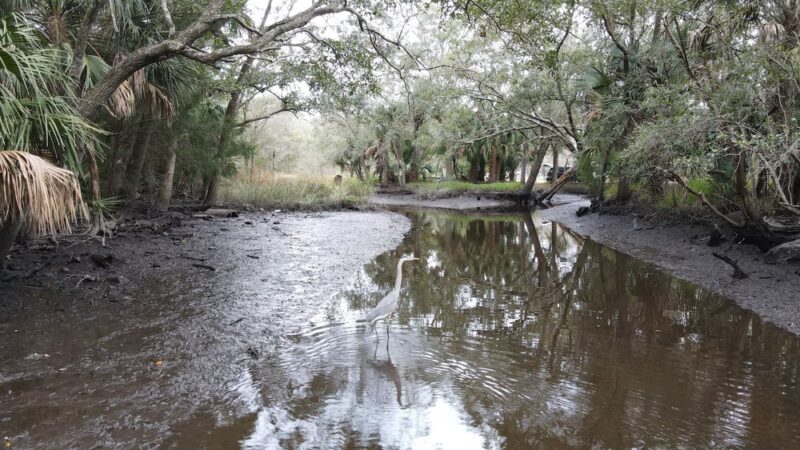 Bee Street Park - Jacksonville, FL