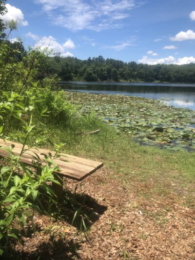 Lake loop trailhead - Jacksonville, FL