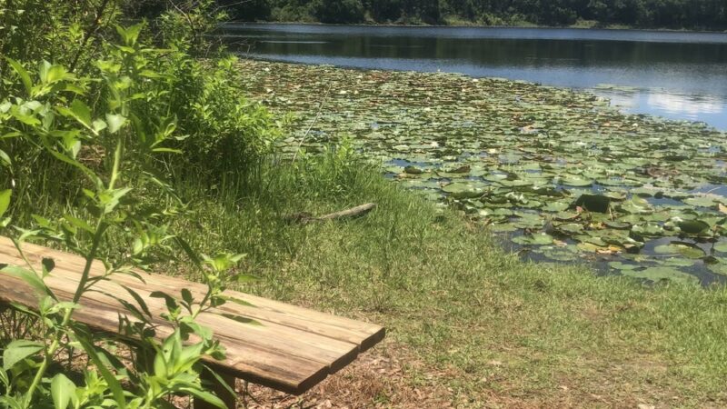 Lake loop trailhead - Jacksonville, FL