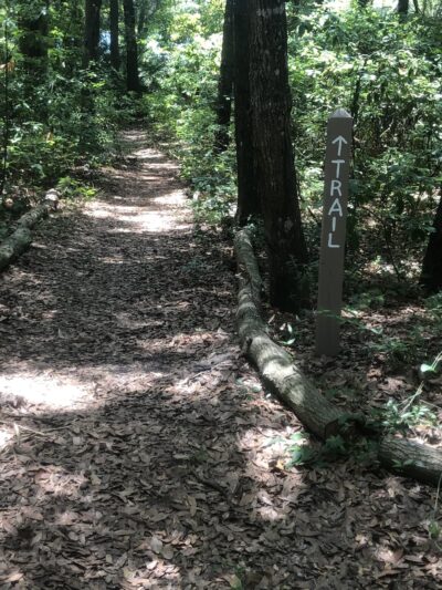 Lake loop trailhead - Jacksonville, FL