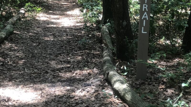 Lake loop trailhead - Jacksonville, FL