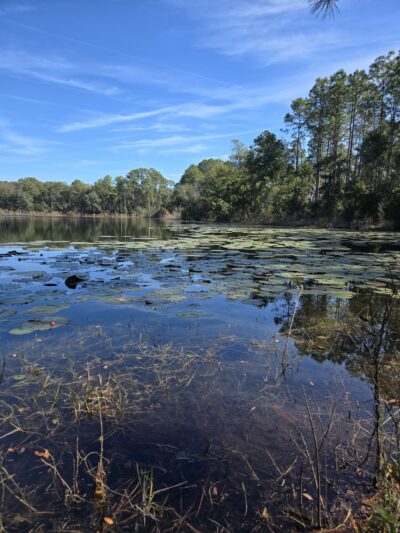 Lake loop trailhead - Jacksonville, FL