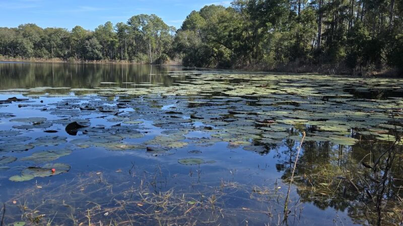 Lake loop trailhead - Jacksonville, FL