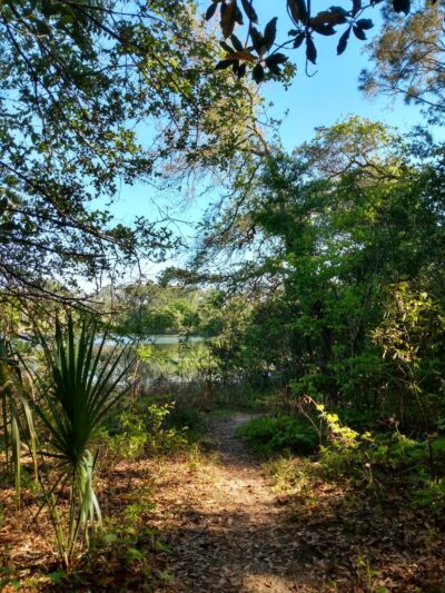 Lake loop trailhead - Jacksonville, FL