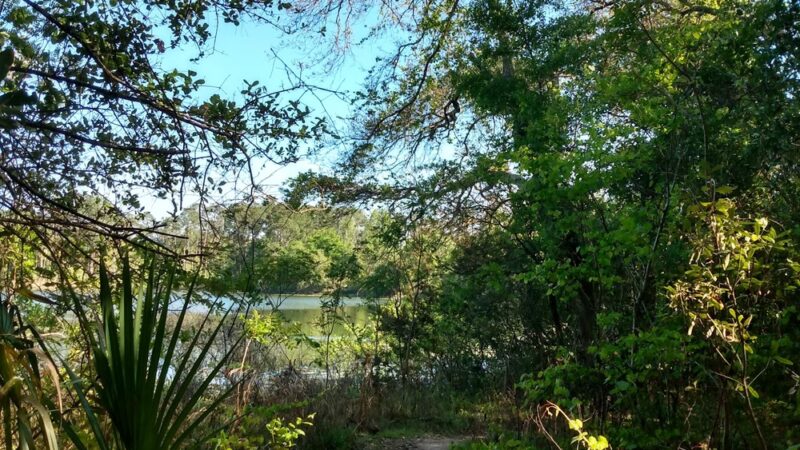 Lake loop trailhead - Jacksonville, FL