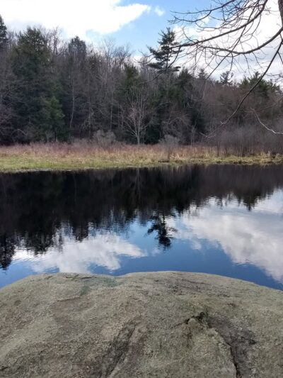 Children's Woods and Carey Park Jaffrey NH - Jaffrey, NH