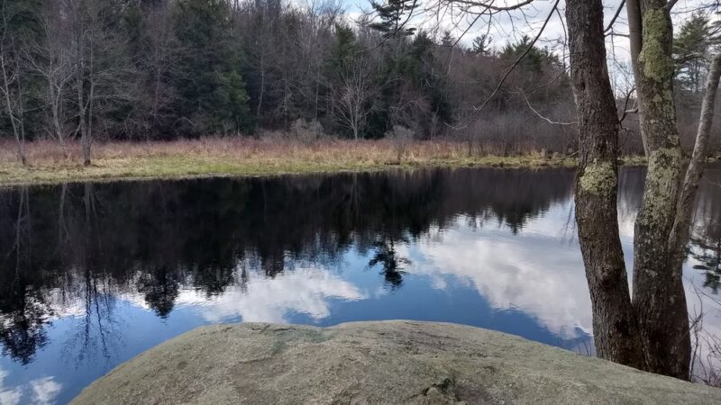 Children's Woods and Carey Park Jaffrey NH - Jaffrey, NH