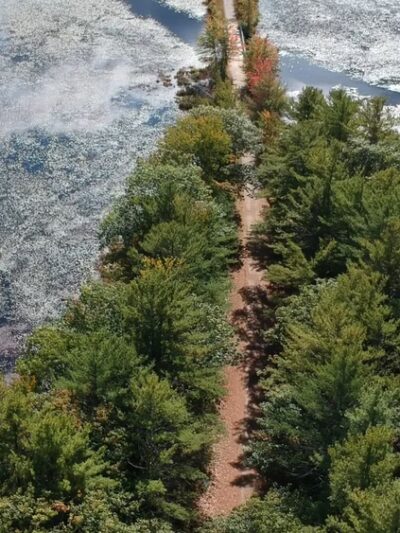 Children's Woods and Carey Park Jaffrey NH - Jaffrey, NH