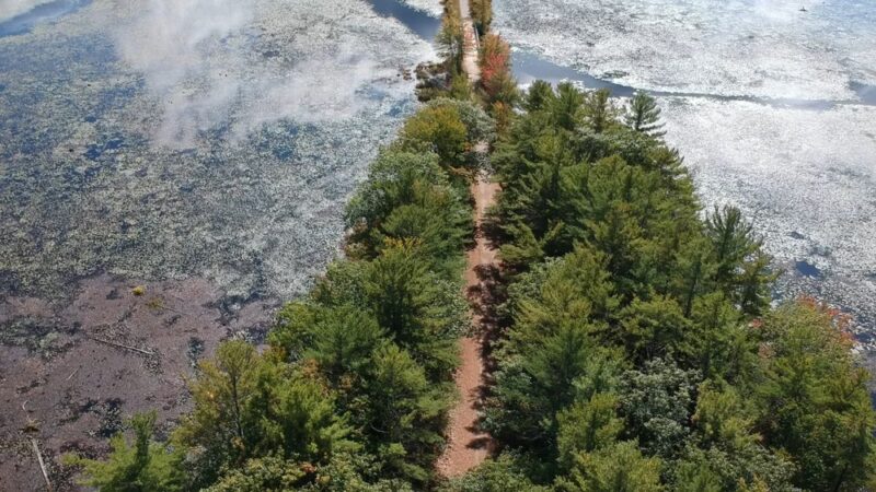 Children's Woods and Carey Park Jaffrey NH - Jaffrey, NH