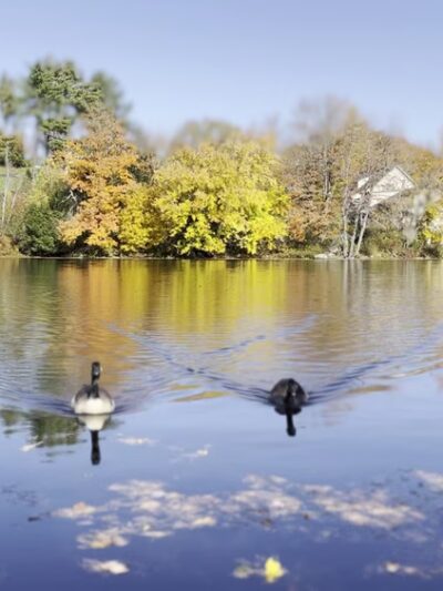 Howard Memorial Park - Jaffrey, NH