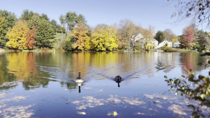 Howard Memorial Park - Jaffrey, NH