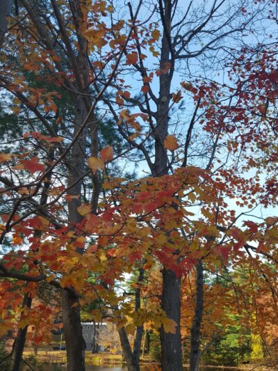 Howard Memorial Park - Jaffrey, NH