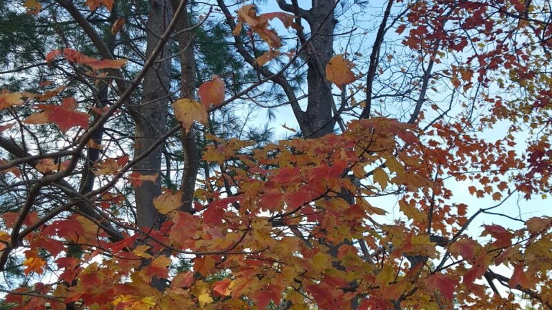 Howard Memorial Park - Jaffrey, NH