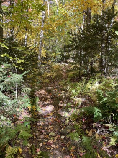 MCM/Royce Trailhead - Jaffrey, NH