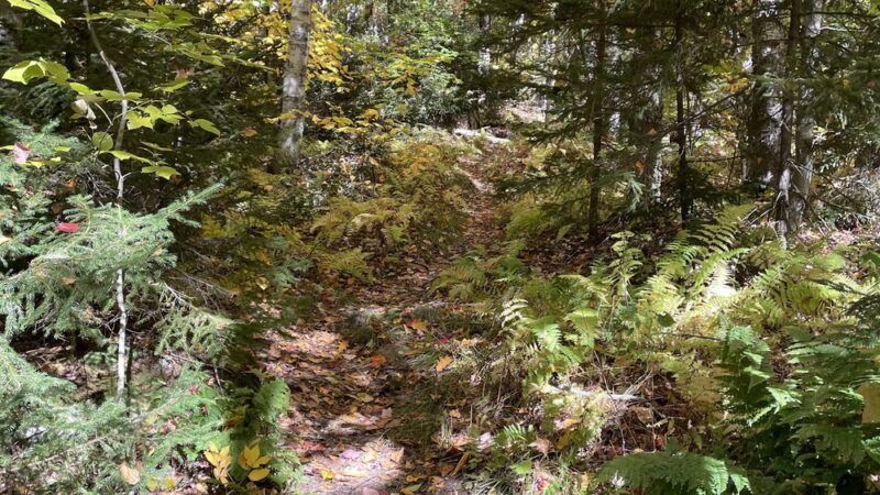 MCM/Royce Trailhead - Jaffrey, NH