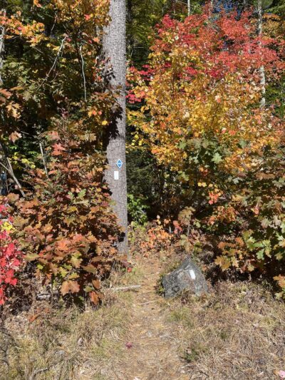 MCM/Royce Trailhead - Jaffrey, NH