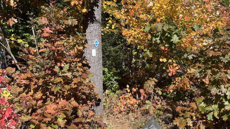 MCM/Royce Trailhead - Jaffrey, NH