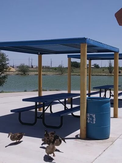 Jal Lake Park - Jal, NM