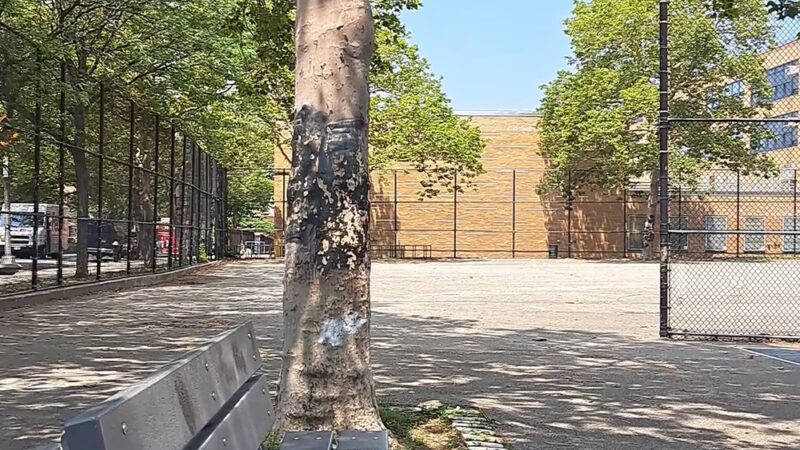 Latimer Playground - Jamaica, NY