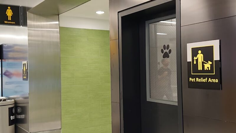 Pet Relief Station - Jamaica, NY