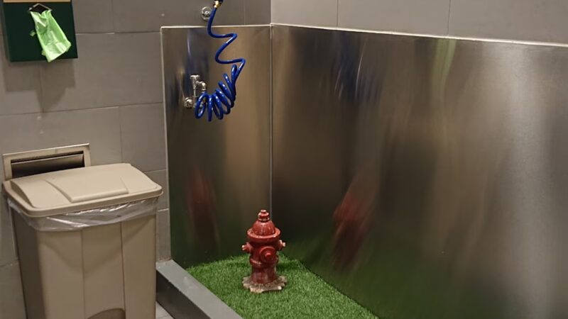 Pet Relief Station - Jamaica, NY