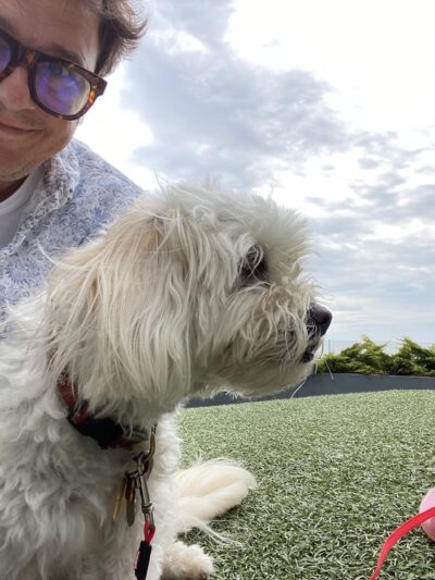Pet Relief Station - Jamaica, NY