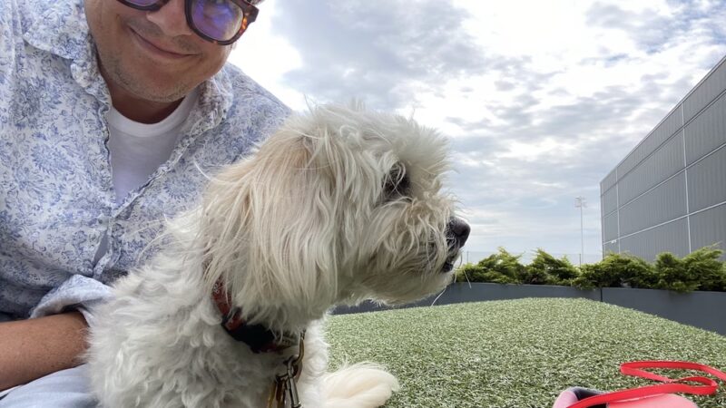 Pet Relief Station - Jamaica, NY