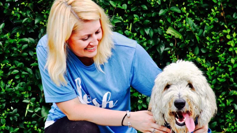 LEASH Dog Care - Jamaica Plain, MA