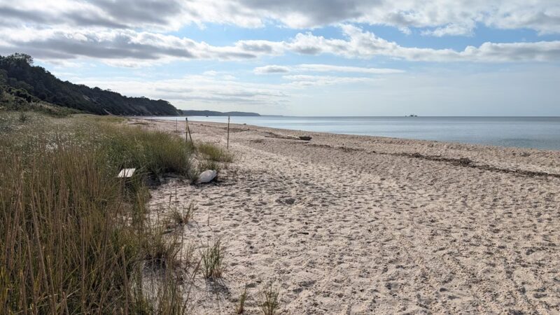 Iron Pier Beach - Jamesport, NY