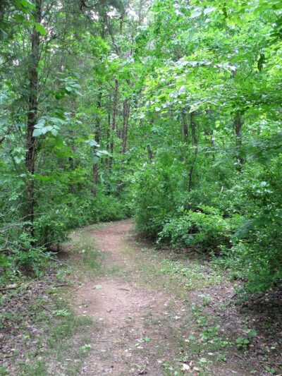 Gibson Park - Jamestown, NC
