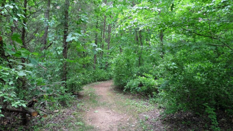 Gibson Park - Jamestown, NC
