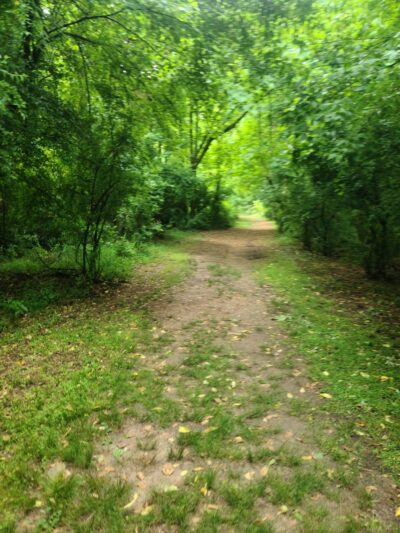 Patch Box Trail - Jamestown, NC