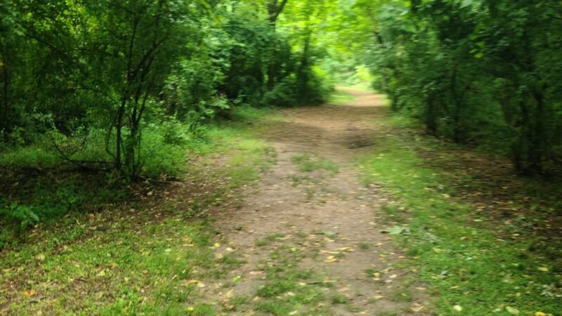 Patch Box Trail - Jamestown, NC