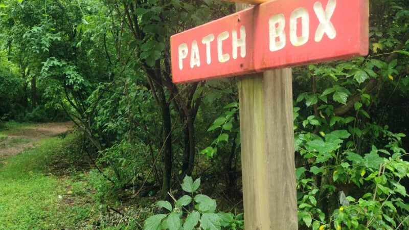 Patch Box Trail - Jamestown, NC
