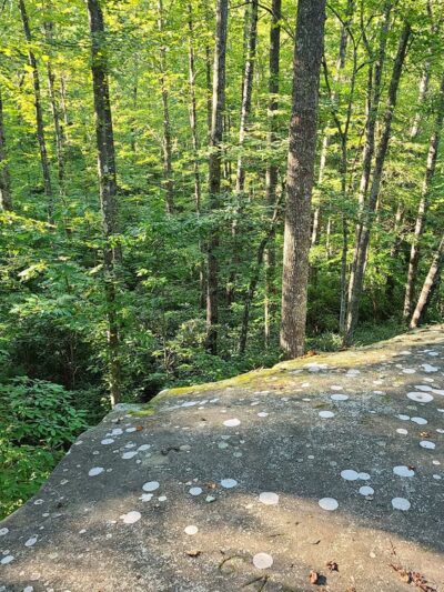 Astronomy Field - Jamestown, TN