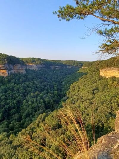 Mesa Top Trailhead - Jamestown, TN