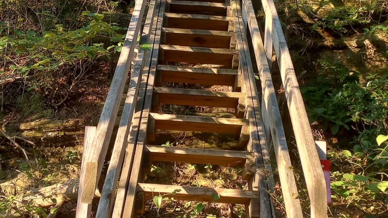 Mesa Top Trailhead - Jamestown, TN