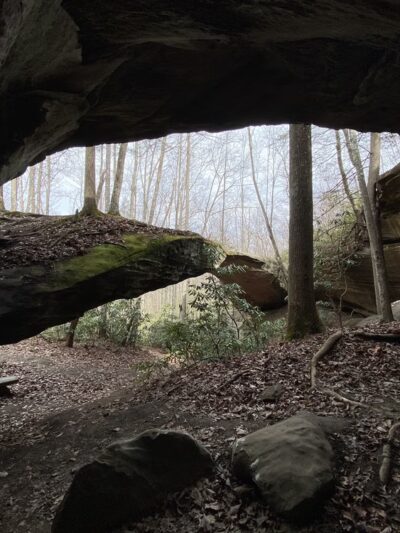 Natural Bridge - Jamestown, TN