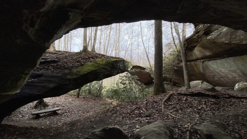 Natural Bridge - Jamestown, TN