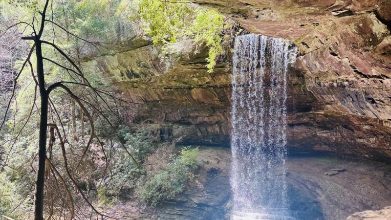 Northrup Falls Trail - Jamestown, TN