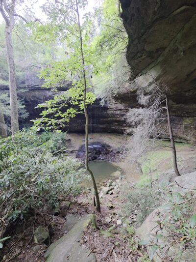 Northrup Falls Trail - Jamestown, TN