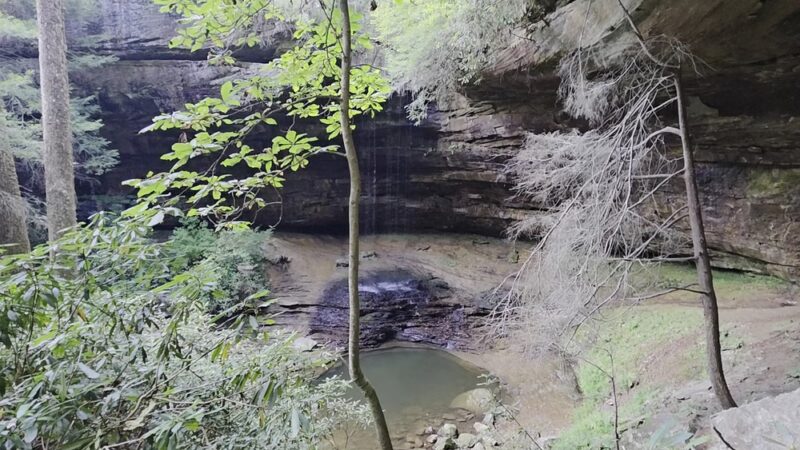Northrup Falls Trail - Jamestown, TN