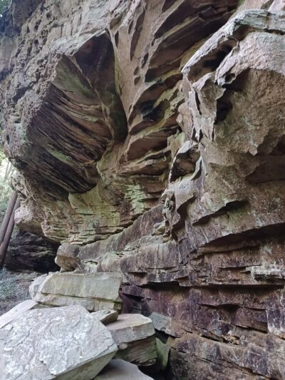 Northrup Falls Trail - Jamestown, TN