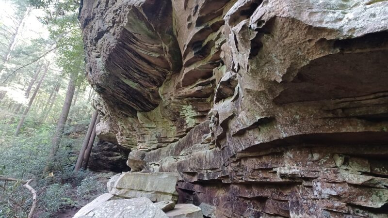 Northrup Falls Trail - Jamestown, TN