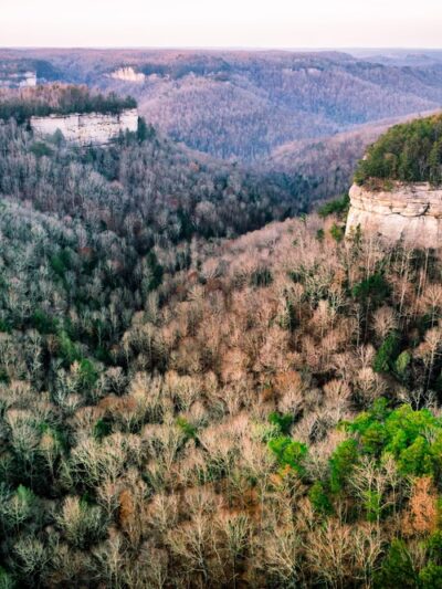 Pogue Creek Canyon State Natural Area - Jamestown, TN