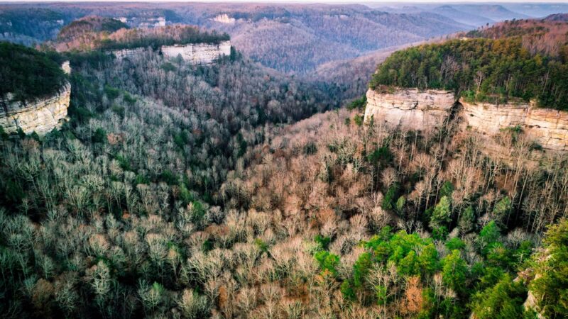 Pogue Creek Canyon State Natural Area - Jamestown, TN